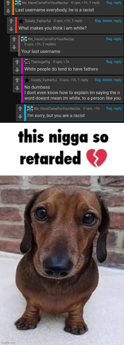 What the fuck is wrong with them | image tagged in this nigga so retarded dog | made w/ Imgflip meme maker