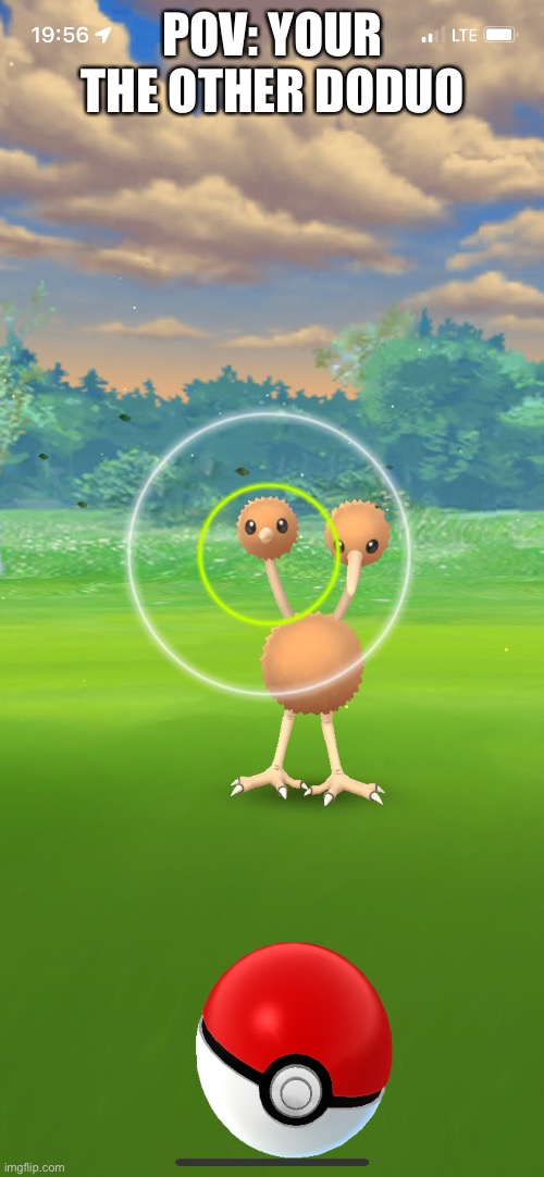 POV: YOUR THE OTHER DODUO | made w/ Imgflip meme maker