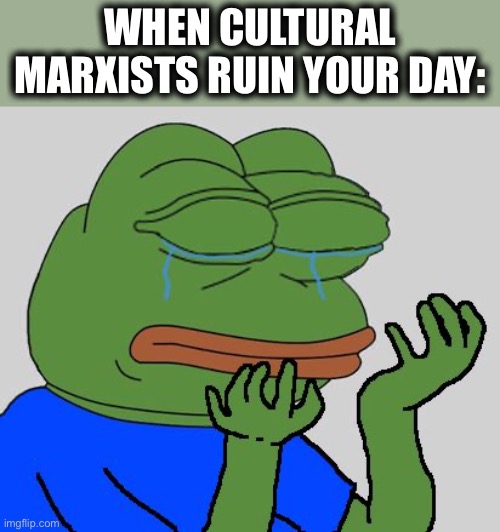 pepe cry | WHEN CULTURAL MARXISTS RUIN YOUR DAY: | image tagged in pepe cry | made w/ Imgflip meme maker