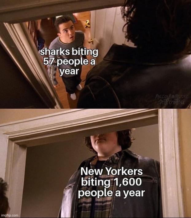 New Yorkaphobia | image tagged in new yorkaphobia,new,york,a,phob,ia | made w/ Imgflip meme maker