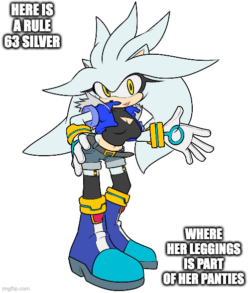 Genderbend Silver | HERE IS A RULE 63 SILVER; WHERE HER LEGGINGS IS PART OF HER PANTIES | image tagged in sonic the hedgehog,silver,memes | made w/ Imgflip meme maker