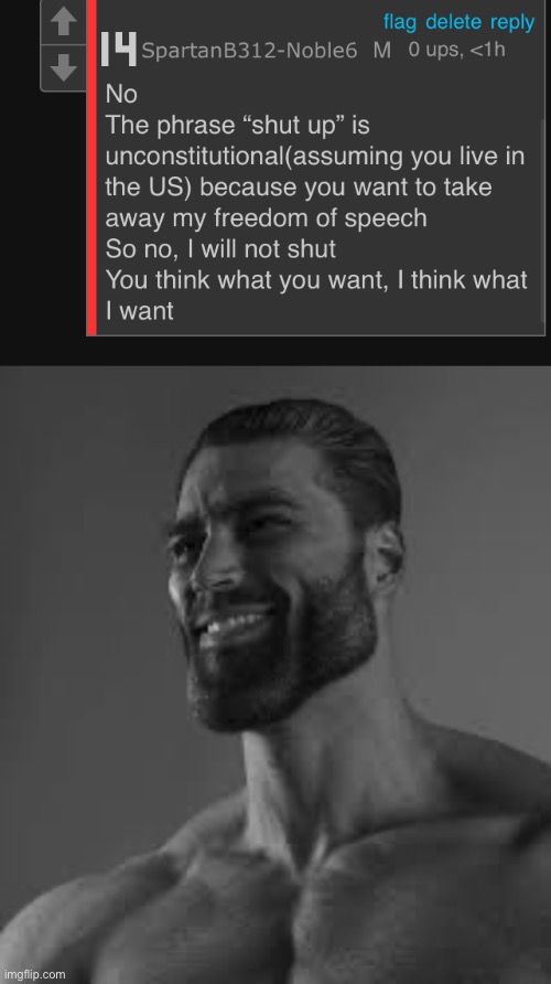 image tagged in giga chad | made w/ Imgflip meme maker