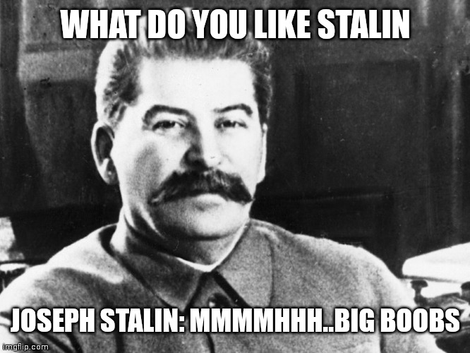 Stalin likes boobs |  WHAT DO YOU LIKE STALIN; JOSEPH STALIN: MMMMHHH..BIG BOOBS | image tagged in joseph stalin | made w/ Imgflip meme maker