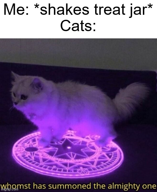 Whomst has summoned the almighty one | Me: *shakes treat jar*
Cats: | image tagged in whomst has summoned the almighty one | made w/ Imgflip meme maker