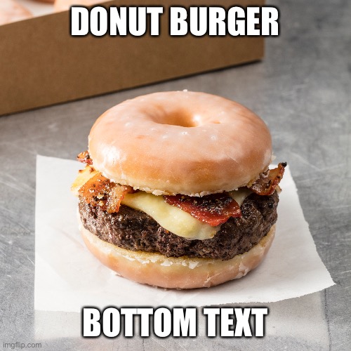 DONUT BURGER; BOTTOM TEXT | made w/ Imgflip meme maker