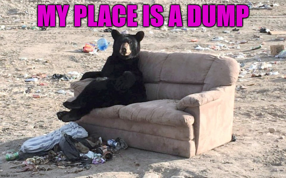 MY PLACE IS A DUMP | image tagged in eye roll | made w/ Imgflip meme maker