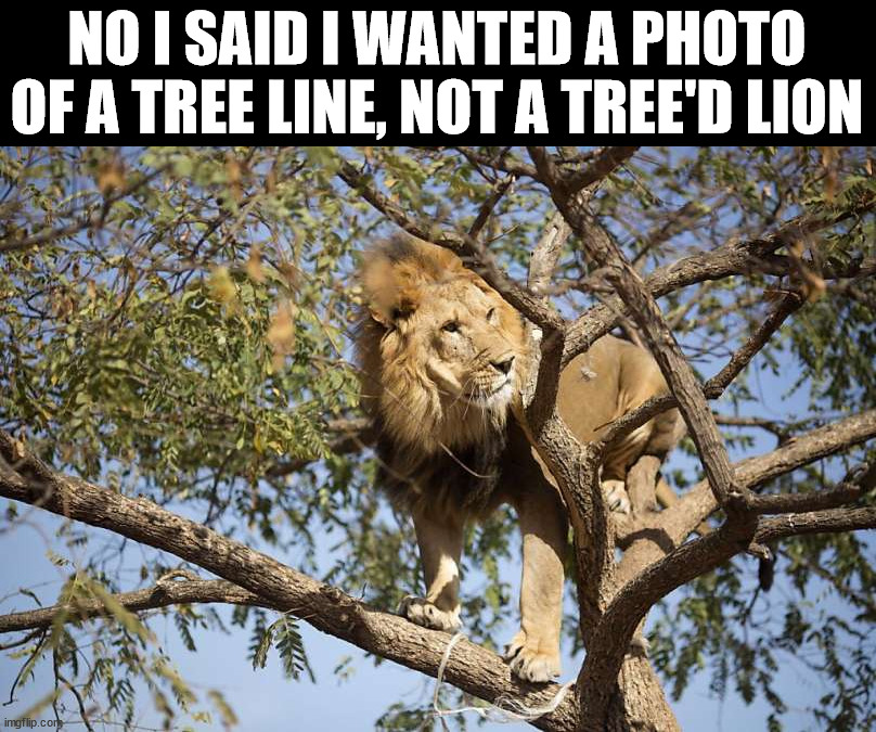 NO I SAID I WANTED A PHOTO OF A TREE LINE, NOT A TREE'D LION | image tagged in eye roll | made w/ Imgflip meme maker