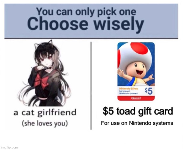 You must choose | image tagged in choose wisely | made w/ Imgflip meme maker
