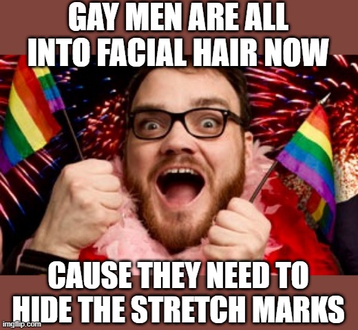 Cover | GAY MEN ARE ALL INTO FACIAL HAIR NOW; CAUSE THEY NEED TO HIDE THE STRETCH MARKS | image tagged in really gay guy | made w/ Imgflip meme maker