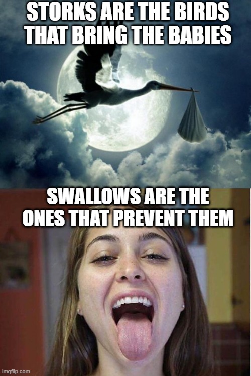 Baby Making | STORKS ARE THE BIRDS THAT BRING THE BABIES; SWALLOWS ARE THE ONES THAT PREVENT THEM | image tagged in stork,riley reid swallow | made w/ Imgflip meme maker