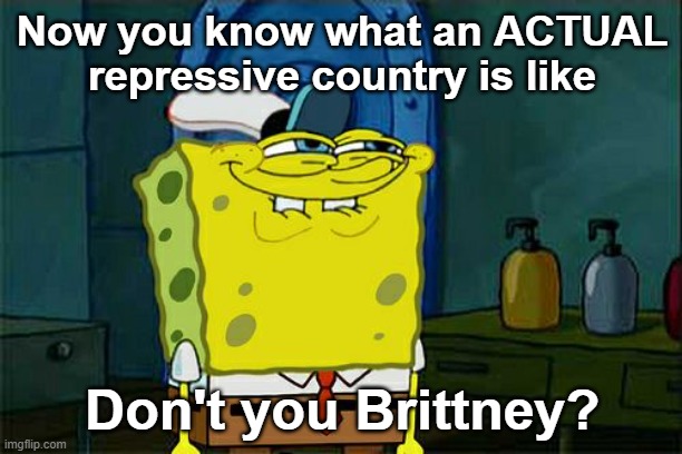 Don't You Squidward Meme | Now you know what an ACTUAL repressive country is like Don't you Brittney? | image tagged in memes,don't you squidward | made w/ Imgflip meme maker
