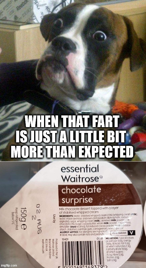 When you get a little surprise | WHEN THAT FART IS JUST A LITTLE BIT 
MORE THAN EXPECTED | image tagged in blankie the shocked dog,farting,surprised,shart,chocolate | made w/ Imgflip meme maker