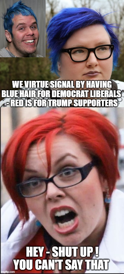 Red State of Mind | WE VIRTUE SIGNAL BY HAVING BLUE HAIR FOR DEMOCRAT LIBERALS 
- RED IS FOR TRUMP SUPPORTERS; HEY - SHUT UP !
YOU CAN'T SAY THAT | image tagged in liberals,leftists,democrats,brandon,2022,economy | made w/ Imgflip meme maker
