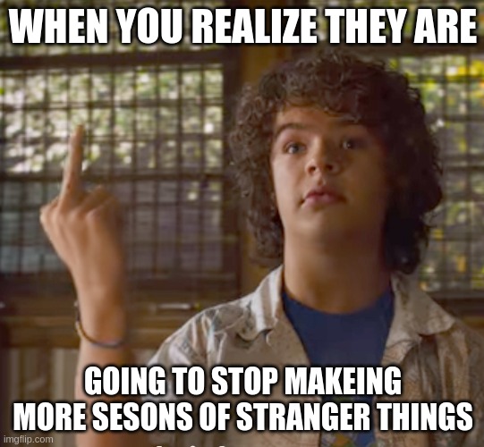 Stranger Things - Dustin | WHEN YOU REALIZE THEY ARE; GOING TO STOP MAKEING MORE SESONS OF STRANGER THINGS | image tagged in stranger things - dustin | made w/ Imgflip meme maker