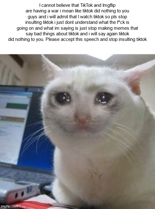 Crying cat | I cannot believe that TikTok and Imgflip are having a war i mean like tiktok did nothing to you guys and i will admit that I watch tiktok so pls stop insulting tiktok i just dont understand what the f*ck is going on and what im saying is just stop making memes that say bad things about tiktok and i will say again tiktok did nothing to you. Please accept this speech and stop insulting tiktok | image tagged in crying cat | made w/ Imgflip meme maker