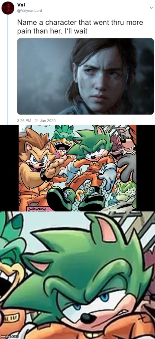 Pain, the dude had a goal and was locked in interdimensional prison by himself but stupider and good | image tagged in name one character who went through more pain than her,sonic the hedgehog,hedgehog,scourge the hedgehog | made w/ Imgflip meme maker