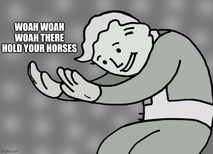 Hol up | WOAH WOAH WOAH THERE HOLD YOUR HORSES | image tagged in hol up | made w/ Imgflip meme maker