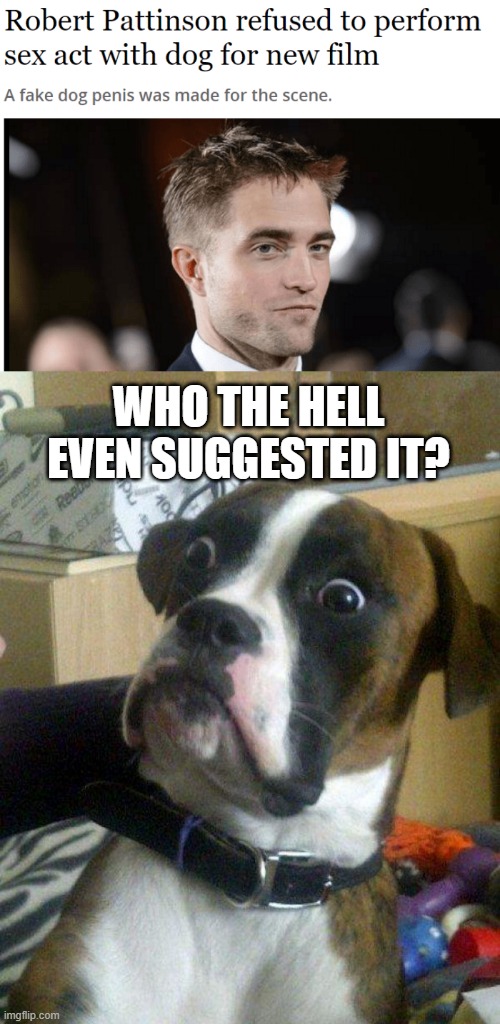 Woof |  WHO THE HELL EVEN SUGGESTED IT? | image tagged in blankie the shocked dog | made w/ Imgflip meme maker