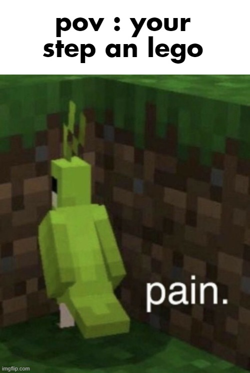 pov : your step an lego | image tagged in parrot suffering from pain,memes,pov | made w/ Imgflip meme maker