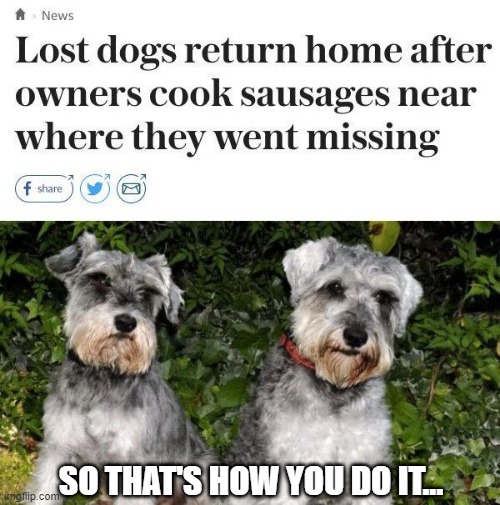 Come Home Fido | SO THAT'S HOW YOU DO IT... | image tagged in dogs | made w/ Imgflip meme maker