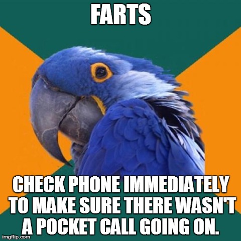 Paranoid Parrot | FARTS CHECK PHONE IMMEDIATELY TO MAKE SURE THERE WASN'T A POCKET CALL GOING ON. | image tagged in memes,paranoid parrot | made w/ Imgflip meme maker