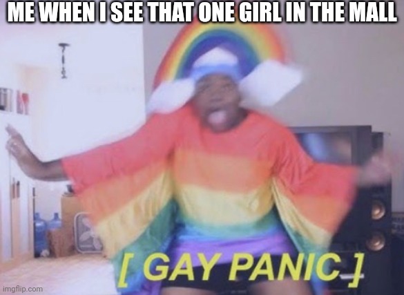 OMFG | ME WHEN I SEE THAT ONE GIRL IN THE MALL | image tagged in rainbow gay panic | made w/ Imgflip meme maker