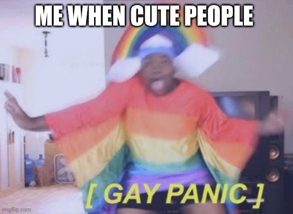 Rainbow Gay Panic | ME WHEN CUTE PEOPLE | image tagged in rainbow gay panic | made w/ Imgflip meme maker