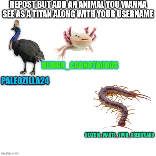 Centipede monster sounds cool to me | DEXTDM_WANTS_YOUR_CREDITCARD | image tagged in bugs,insects,legs,godzilla,kong godzilla doge,king kong | made w/ Imgflip meme maker