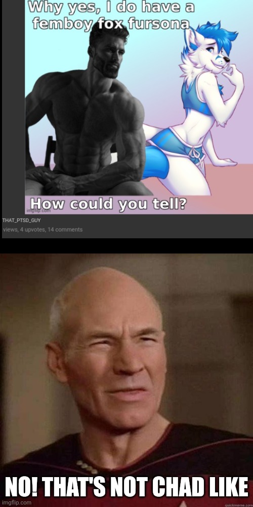 Dafuq Picard | NO! THAT'S NOT CHAD LIKE | image tagged in dafuq picard | made w/ Imgflip meme maker