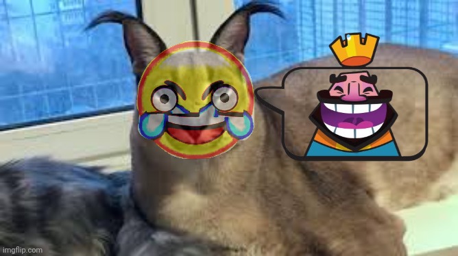 Floppa | image tagged in floppa | made w/ Imgflip meme maker
