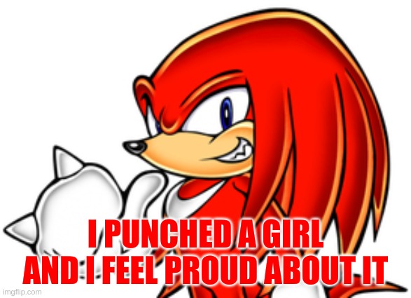 knuckles punched a girl |  I PUNCHED A GIRL AND I FEEL PROUD ABOUT IT | image tagged in sonic,sonic meme,knuckles | made w/ Imgflip meme maker