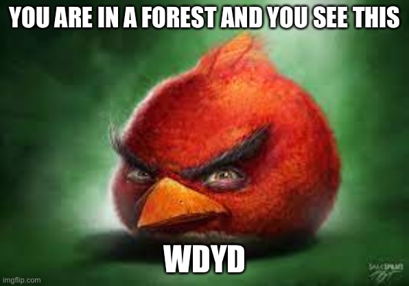 REAL | YOU ARE IN A FOREST AND YOU SEE THIS; WDYD | image tagged in realistic red angry birds | made w/ Imgflip meme maker