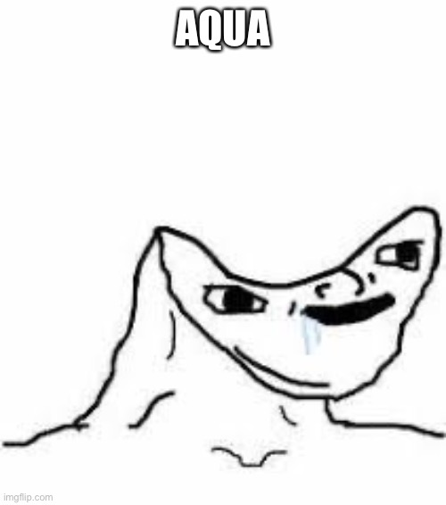 Aqua | AQUA | image tagged in aqua | made w/ Imgflip meme maker