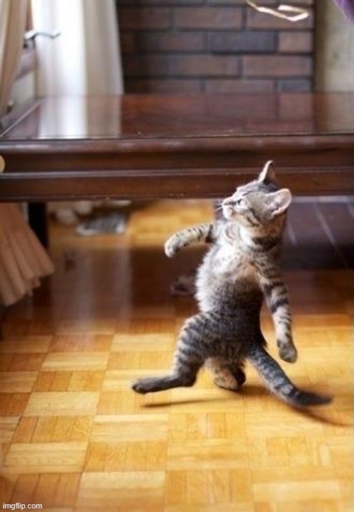 Cool Cat Stroll Meme | image tagged in memes,cool cat stroll | made w/ Imgflip meme maker