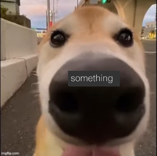 Repost but add something | made w/ Imgflip meme maker