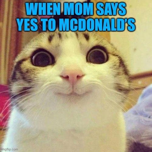 Smiling Cat Meme | WHEN MOM SAYS YES TO MCDONALD’S | image tagged in memes,smiling cat | made w/ Imgflip meme maker