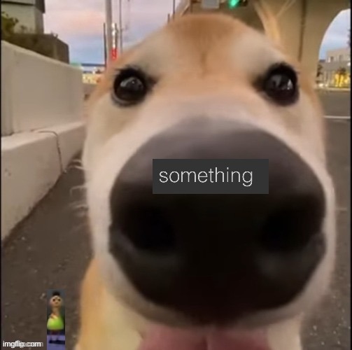 Repost but add something | made w/ Imgflip meme maker