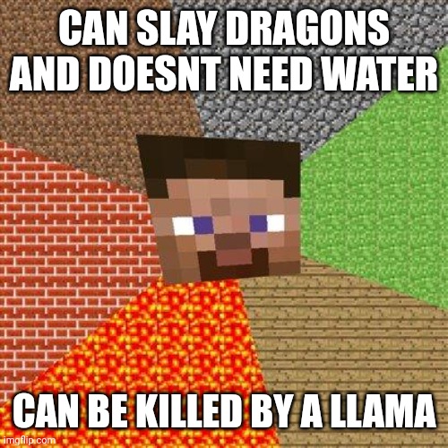 Minecraft logic | CAN SLAY DRAGONS AND DOESNT NEED WATER; CAN BE KILLED BY A LLAMA | image tagged in minecraft steve | made w/ Imgflip meme maker