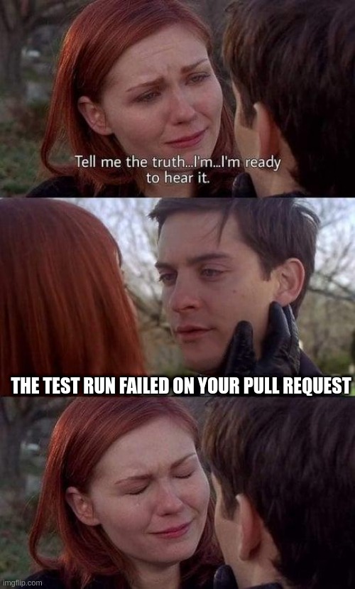 Your pull request |  THE TEST RUN FAILED ON YOUR PULL REQUEST | image tagged in tell me the truth i'm ready to hear it,programming,git,software,programmers | made w/ Imgflip meme maker