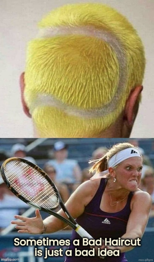 It'll grow back | image tagged in funny haircut,tennis,violence,love,well yes but actually no,extreme sports | made w/ Imgflip meme maker