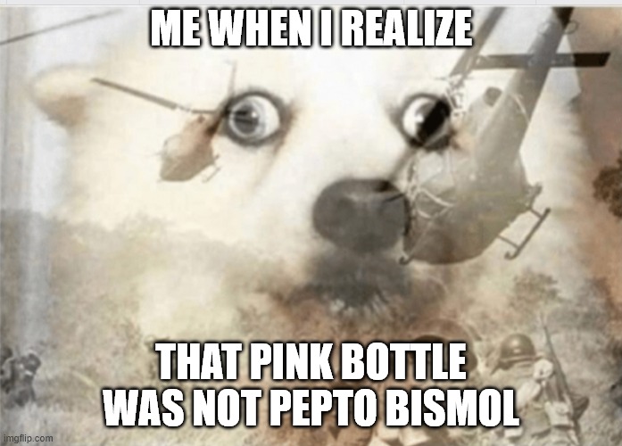 PTSD dog | ME WHEN I REALIZE; THAT PINK BOTTLE WAS NOT PEPTO BISMOL | image tagged in ptsd dog | made w/ Imgflip meme maker
