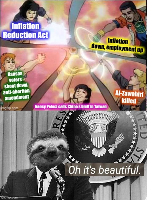 Democrats in array, circa summer 2022 | image tagged in democrats in array 2022,sloth president | made w/ Imgflip meme maker