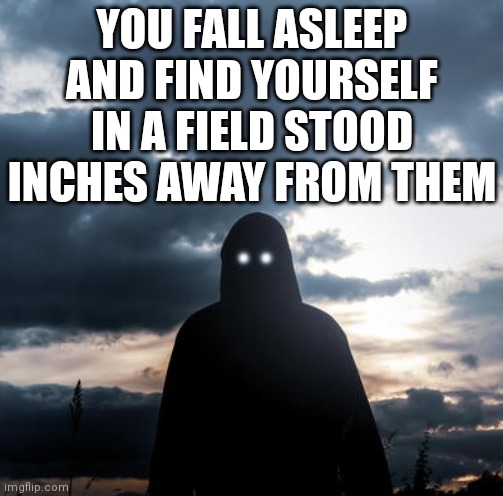 My first post here (no joke OCs) | YOU FALL ASLEEP AND FIND YOURSELF IN A FIELD STOOD INCHES AWAY FROM THEM | image tagged in mysterious figure | made w/ Imgflip meme maker