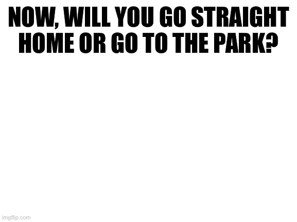 Blank White Template | NOW, WILL YOU GO STRAIGHT HOME OR GO TO THE PARK? | image tagged in blank white template | made w/ Imgflip meme maker