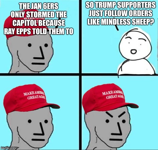 MAGA NPC (AN AN0NYM0US TEMPLATE) | SO TRUMP SUPPORTERS JUST FOLLOW ORDERS LIKE MINDLESS SHEEP? THE JAN 6ERS ONLY STORMED THE CAPITOL BECAUSE RAY EPPS TOLD THEM TO | image tagged in maga npc an an0nym0us template | made w/ Imgflip meme maker