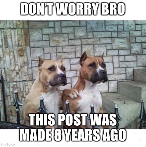 Don't Worry Bro | DON’T WORRY BRO THIS POST WAS MADE 8 YEARS AGO | image tagged in don't worry bro | made w/ Imgflip meme maker