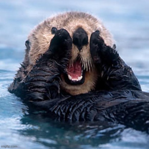 Shouting Otter | image tagged in shouting otter | made w/ Imgflip meme maker