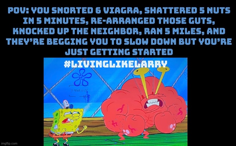Living Like Larry | image tagged in spongebob | made w/ Imgflip meme maker
