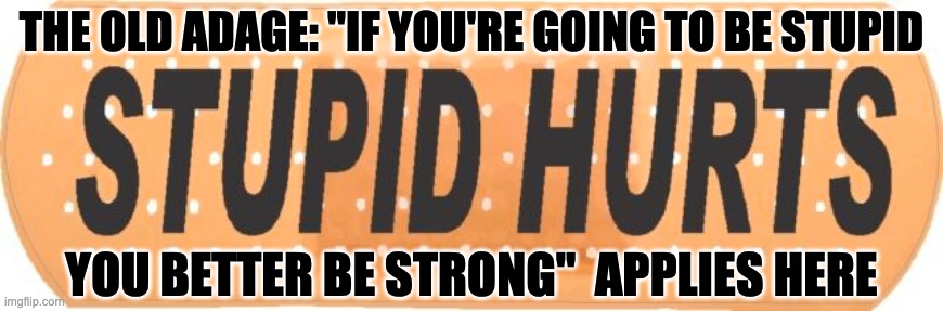 THE OLD ADAGE: "IF YOU'RE GOING TO BE STUPID YOU BETTER BE STRONG"  APPLIES HERE | made w/ Imgflip meme maker