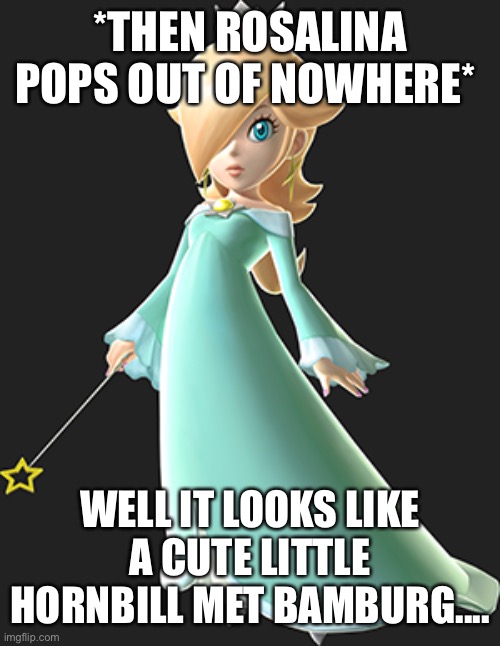 RosalinA | *THEN ROSALINA POPS OUT OF NOWHERE* WELL IT LOOKS LIKE A CUTE LITTLE HORNBILL MET BAMBURG.... | image tagged in rosalina | made w/ Imgflip meme maker
